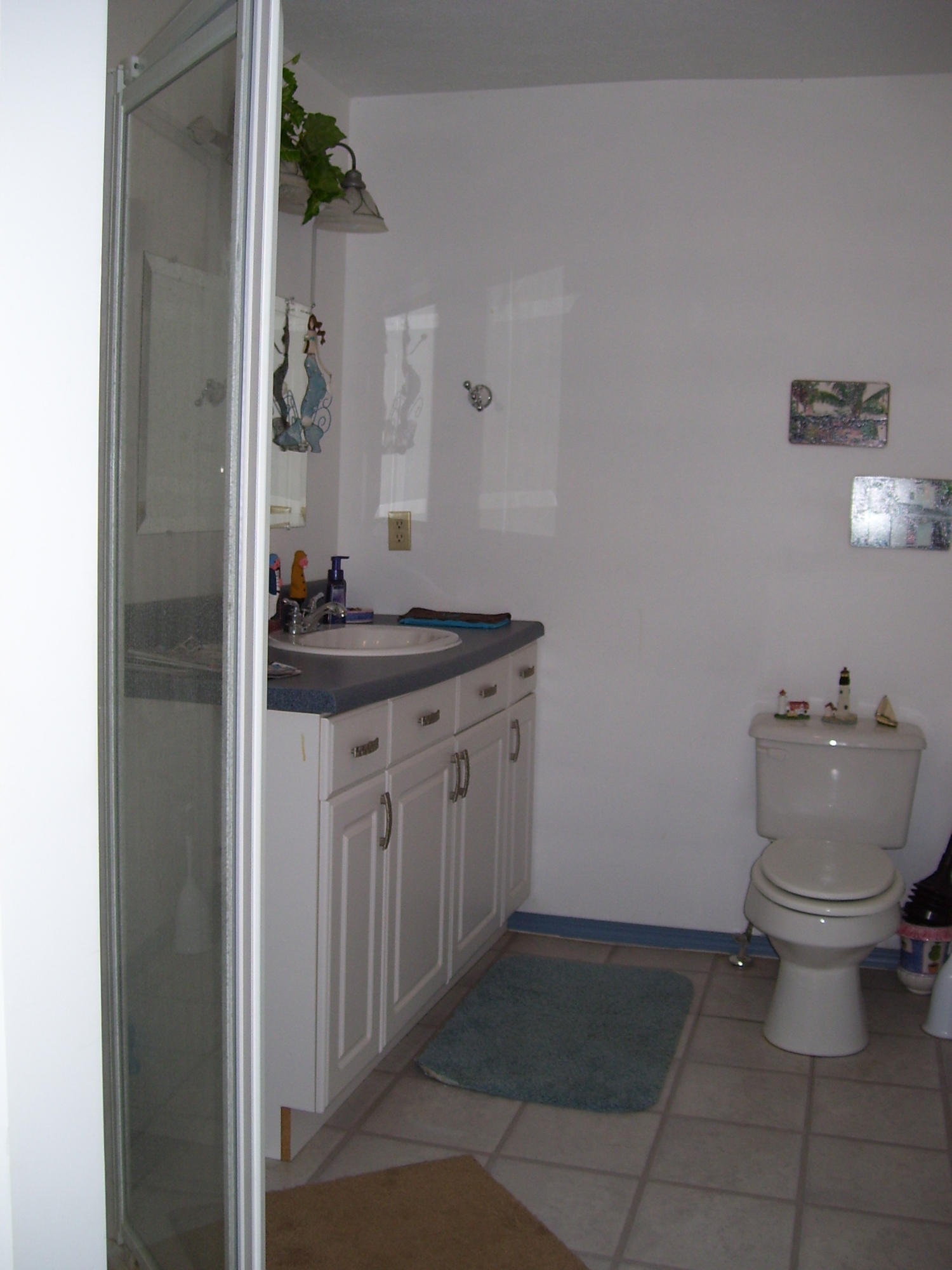 341 Shoreside Road New Tazewell, TN 37825 - Photo 20 of 35 Lower level bath