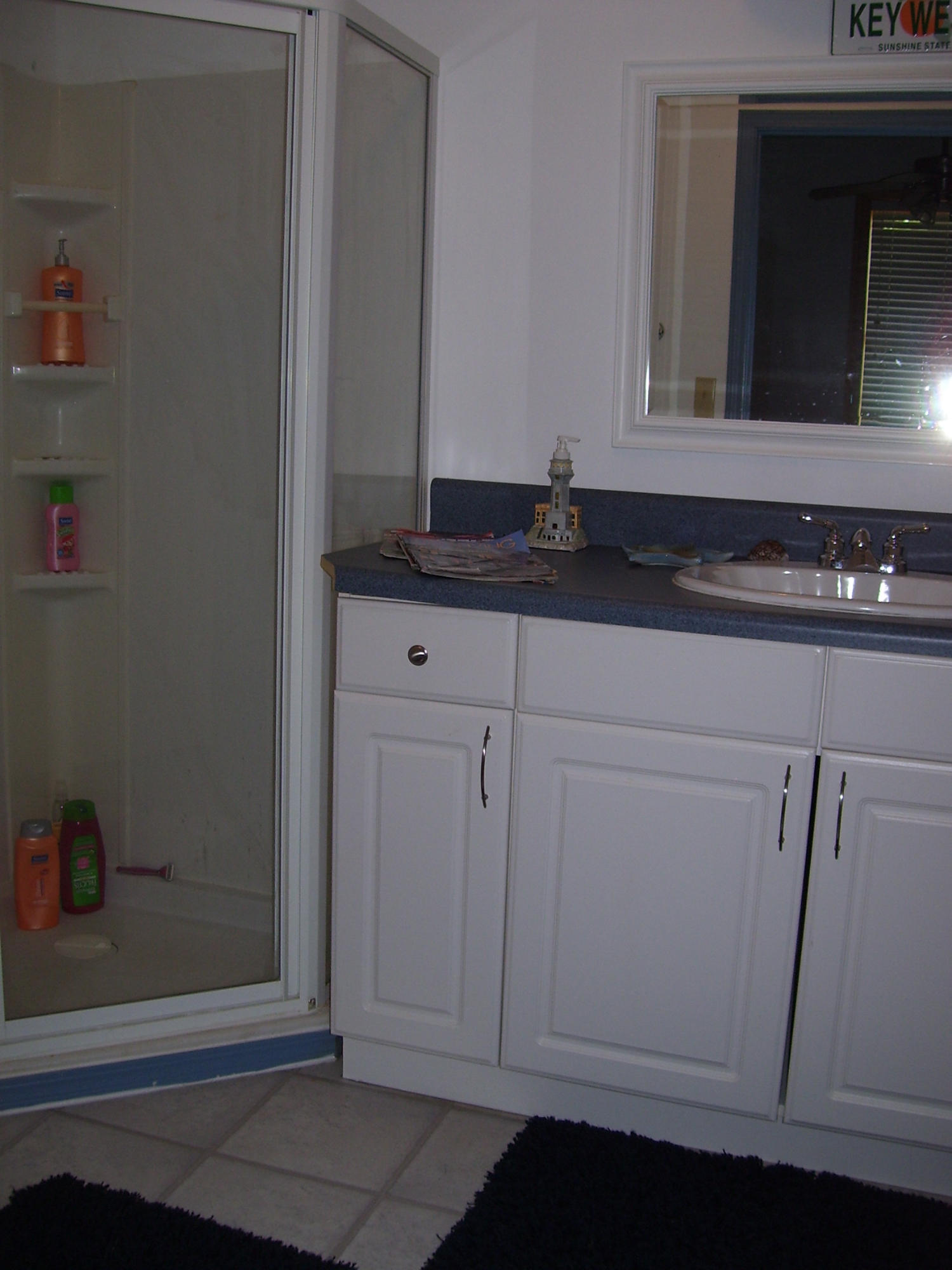 341 Shoreside Road New Tazewell, TN 37825 - Photo 22 of 35 Lower level bath #2