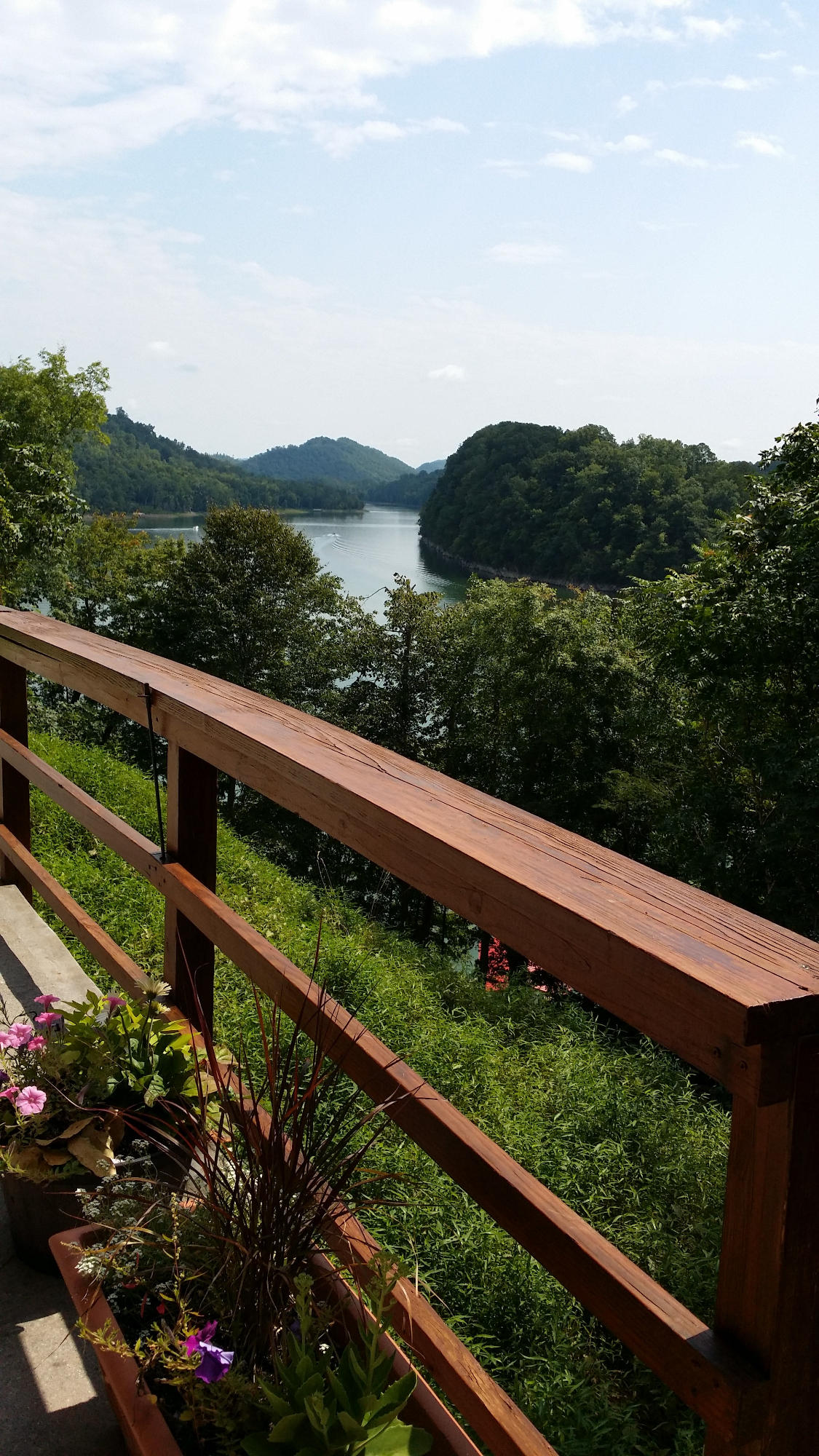 341 Shoreside Road New Tazewell, TN 37825 - Photo 29 of 35 lower level walk out view to lake