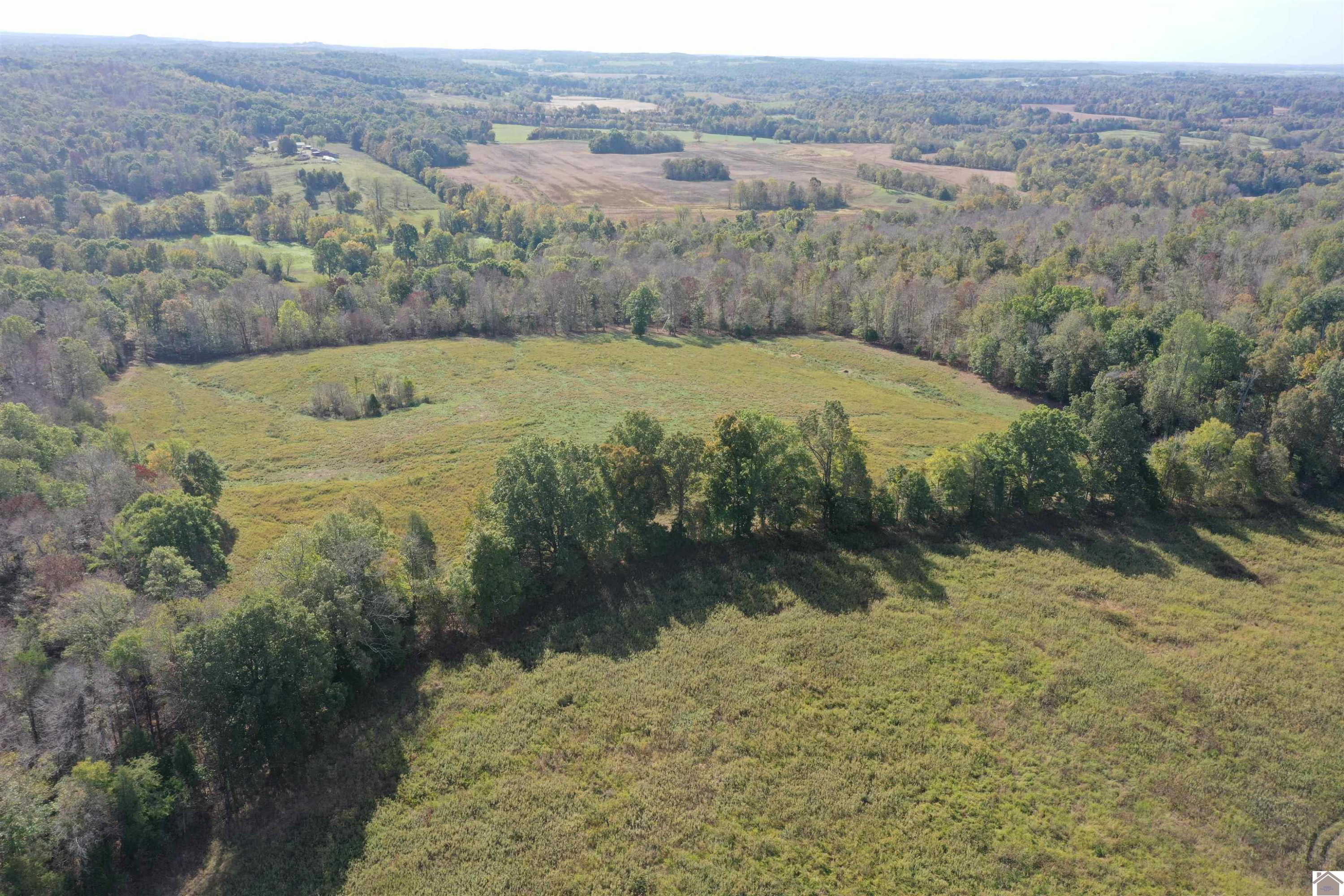 0 Princeton Olney Road, Unit FARM 3 Princeton, KY 42445 - Photo 7 of 9 Photo 7