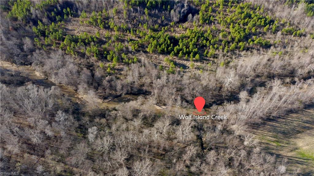 0 Sagebrush Road Ruffin, NC 27326 - Photo 14 of 50 Gallery Image 14