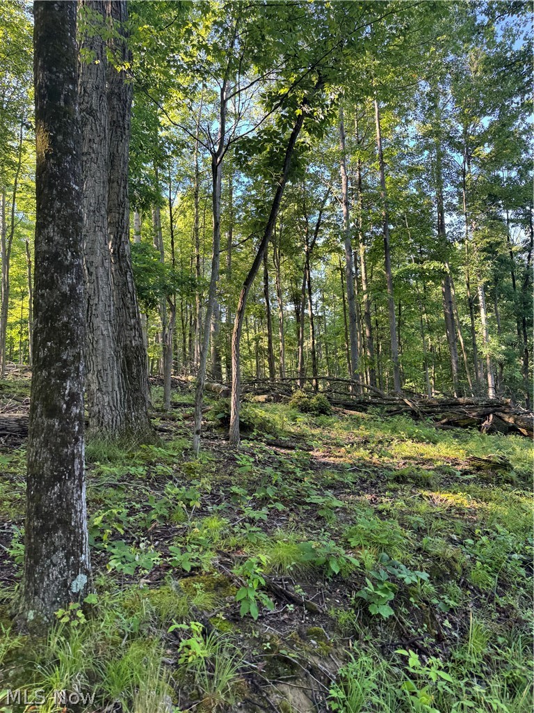 Stone Quarry Road Danville, OH 43014 - Photo 18 of 50