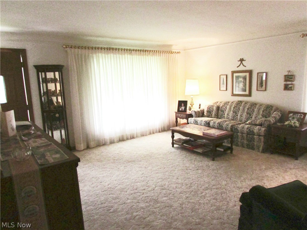 8004 Spring Garden Road Cleveland, OH 44129 - Photo 3 of 18 Gallery Image 3