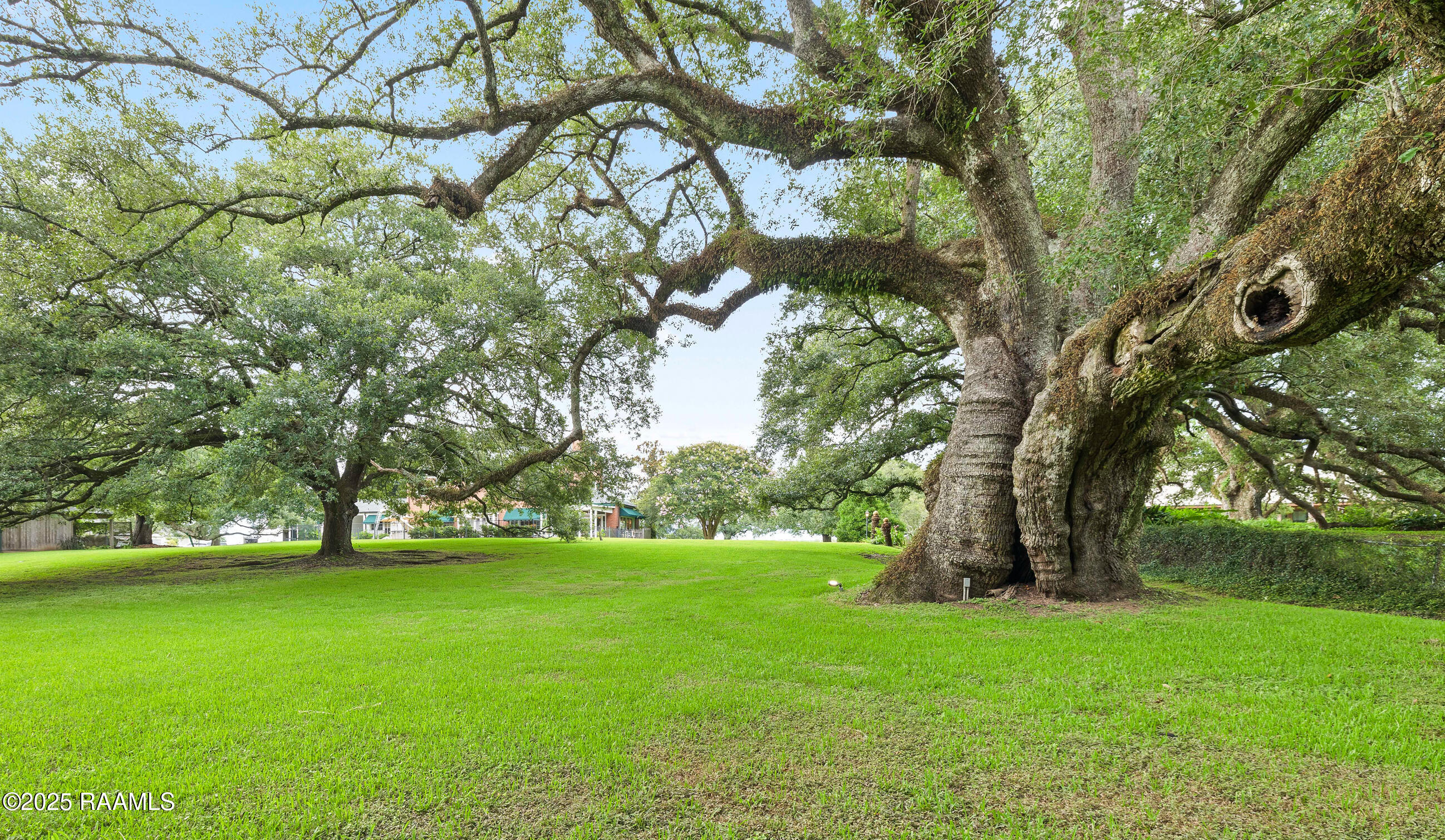6302 Old Jeanerette Road New Iberia, LA 70563 - Photo 51 of 60 The Hollow Oak