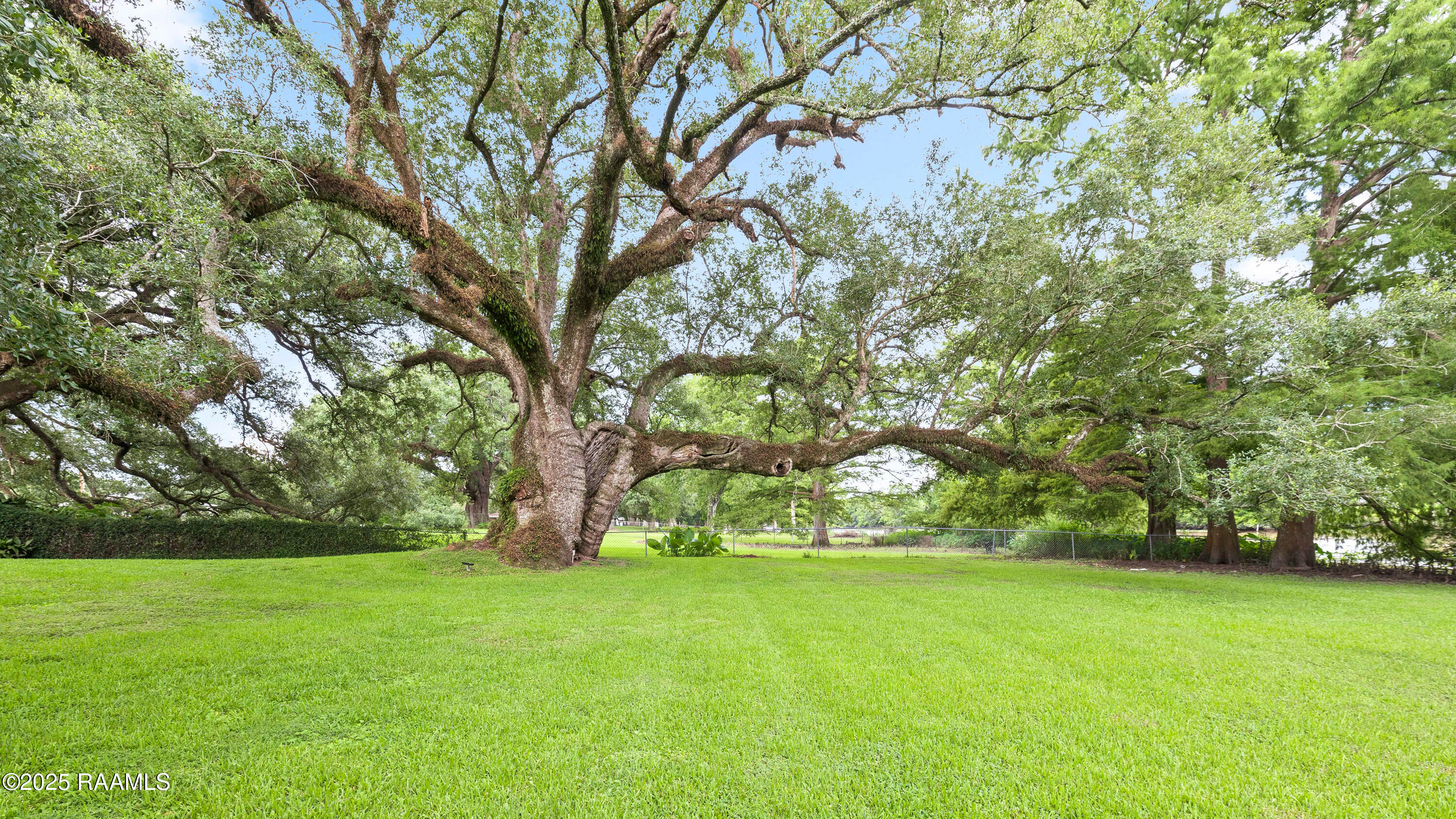 6302 Old Jeanerette Road New Iberia, LA 70563 - Photo 52 of 60 The Hollow Oak