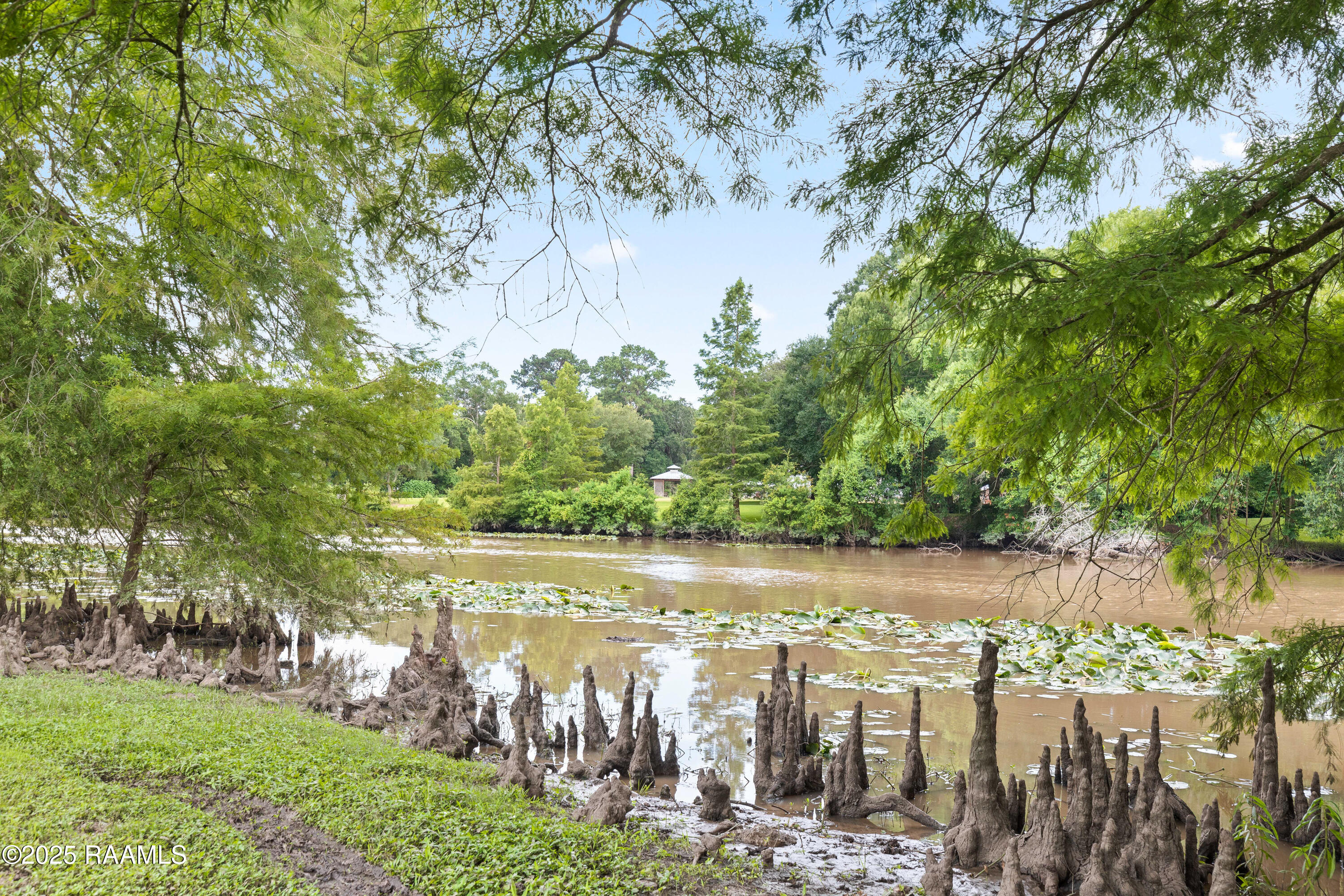 6302 Old Jeanerette Road New Iberia, LA 70563 - Photo 53 of 60 Bayou Teche Property