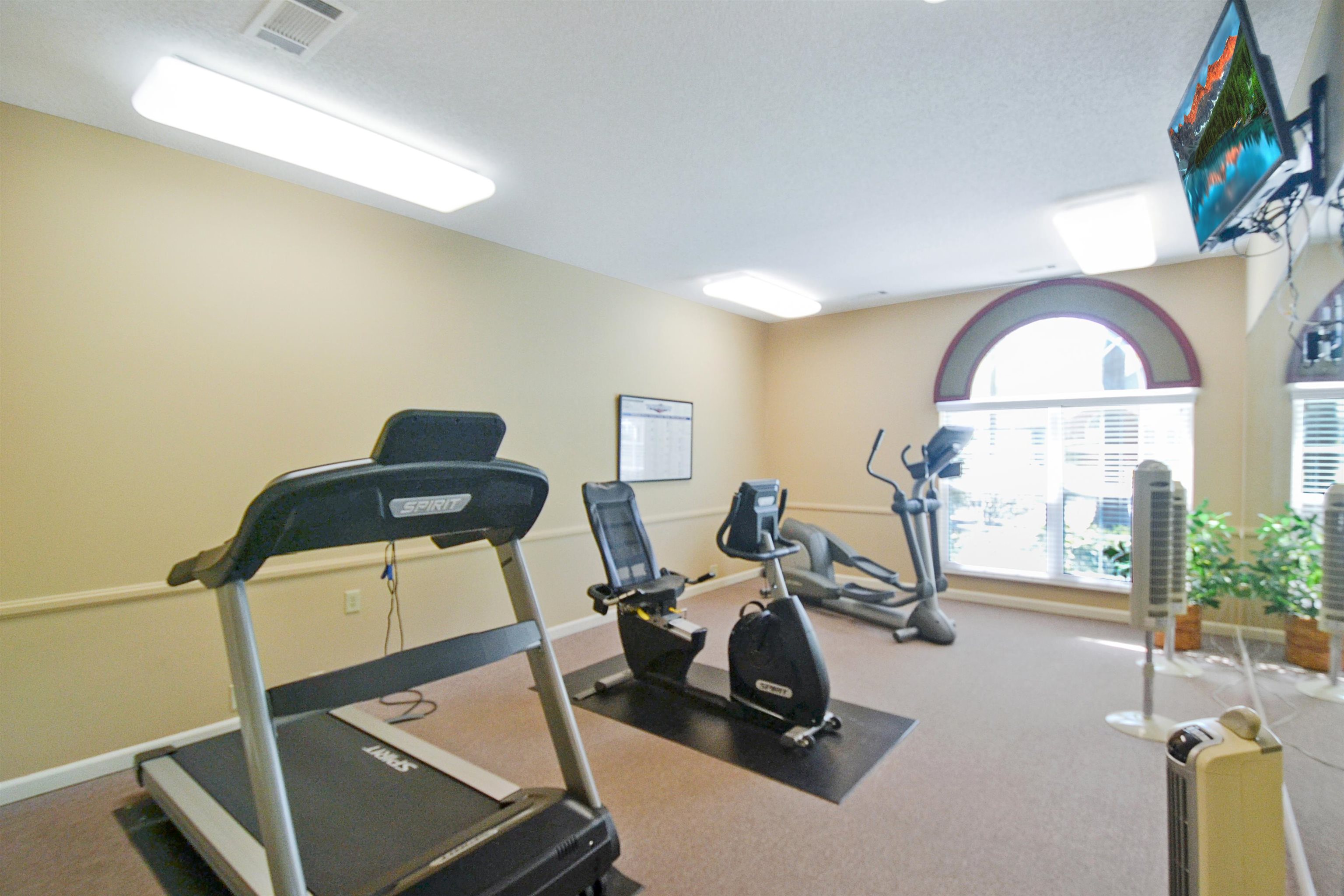1201 Oak Timber Circle, Unit 29 Collierville, TN 38017 - Photo 28 of 32 a view of a room with gym equipment