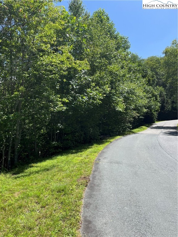 Lot 334 Twin Rivers Drive Boone, NC 28607 - Photo 2 of 8 Gallery Image 2