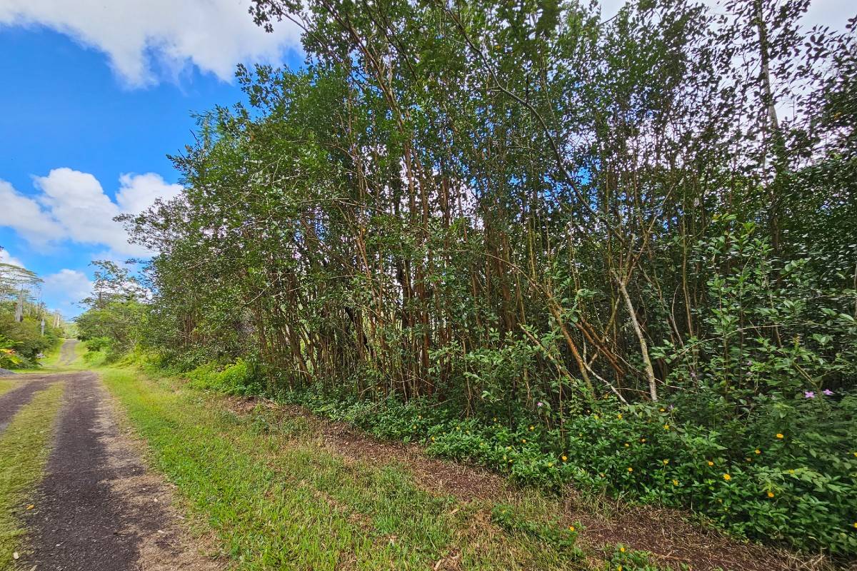 470 Seadrift Road Pahoa, HI 96778 - Photo 1 of 5 Gallery Image 1