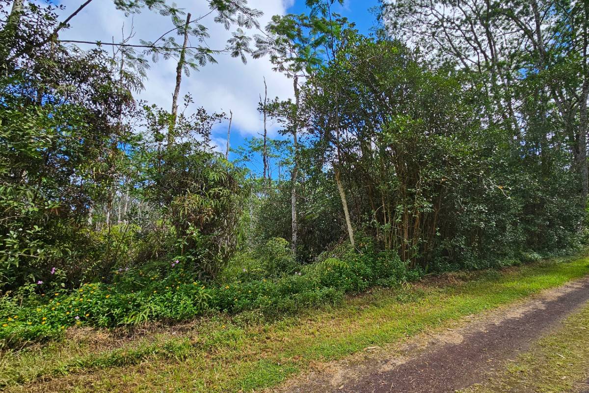 470 Seadrift Road Pahoa, HI 96778 - Photo 3 of 5 Gallery Image 3