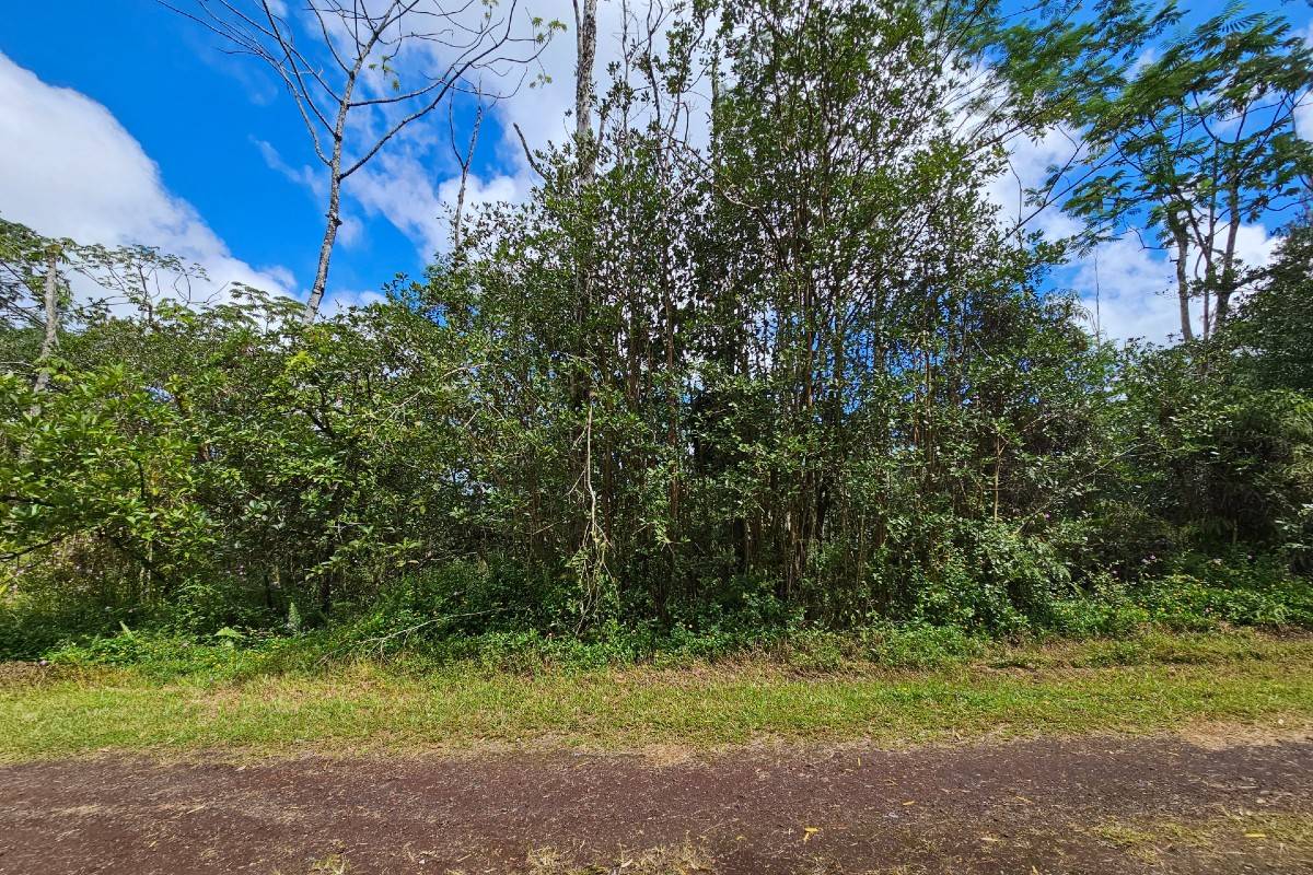 470 Seadrift Road Pahoa, HI 96778 - Photo 4 of 5 Gallery Image 4