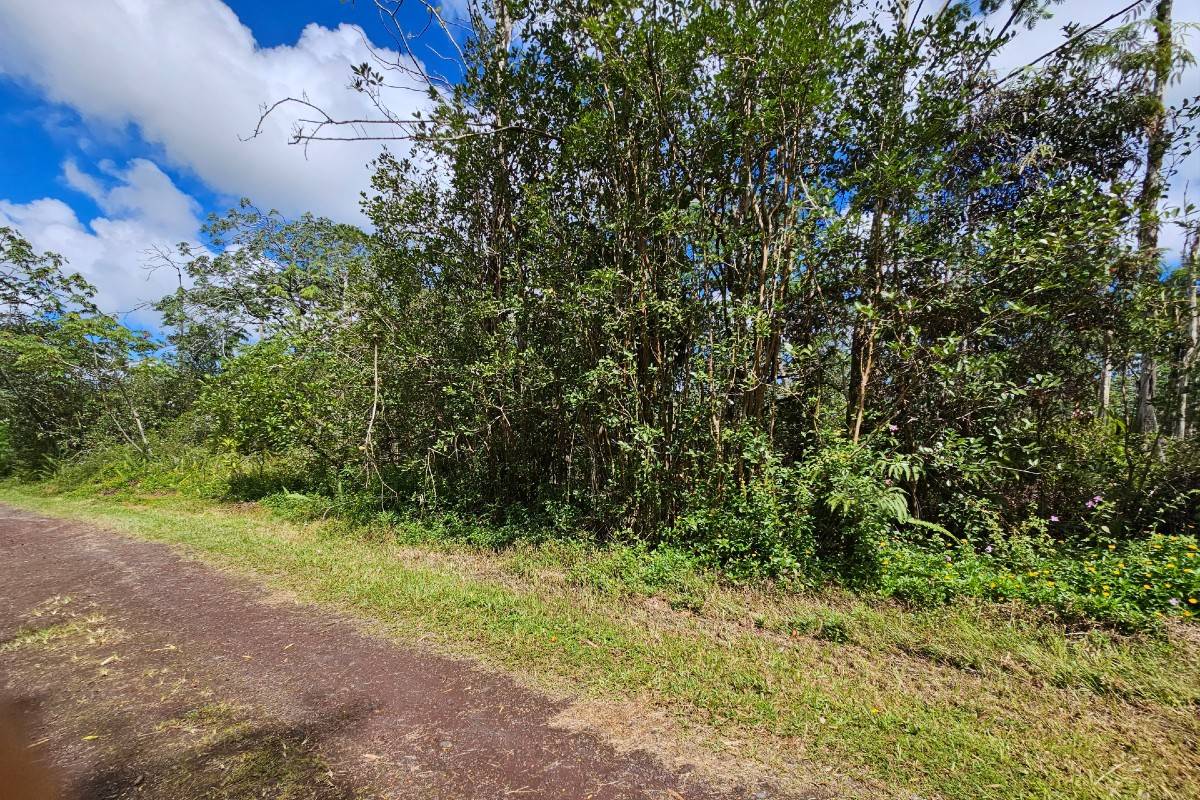 470 Seadrift Road Pahoa, HI 96778 - Photo 5 of 5 Gallery Image 5