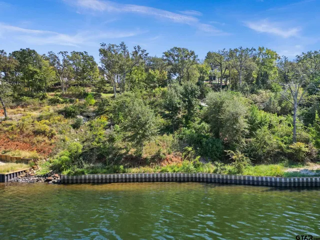 a view of a yard with an tree