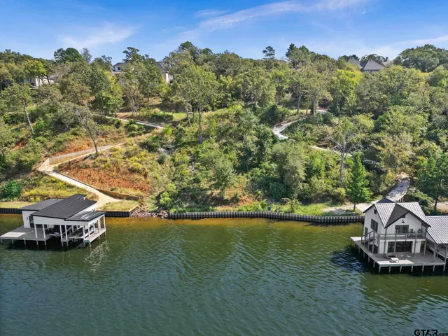 a view of a garden with plants and large trees