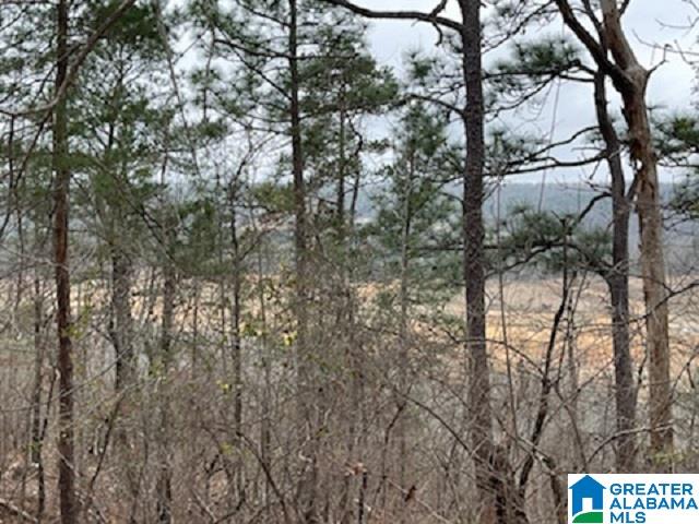 462 Conroy Circle, Unit 710 Sterrett, AL 35147 - Photo 3 of 9
