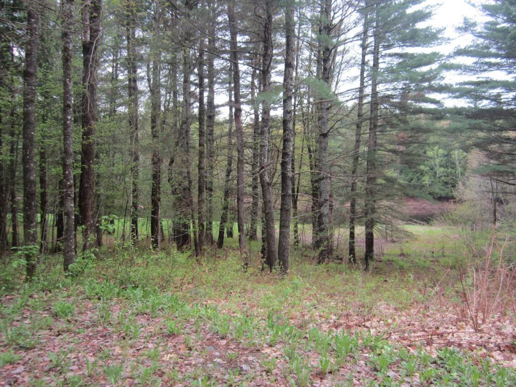 792 Grindstone Road Medway, ME 04460 - Photo 2 of 12 Photo