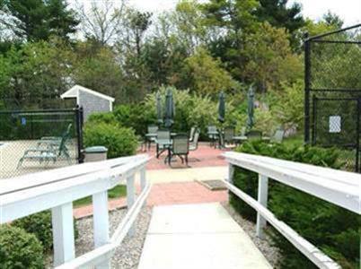 16 Gold Leaf Lane, Unit 16 Mashpee, MA 02649 - Photo 6 of 29 a view of a patio with chairs and a small yard
