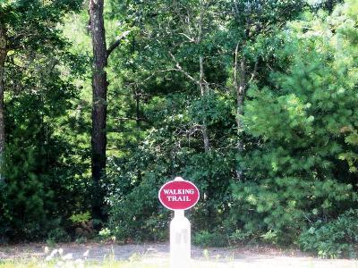16 Gold Leaf Lane, Unit 16 Mashpee, MA 02649 - Photo 8 of 29 a view of a street with lots of green space and trees