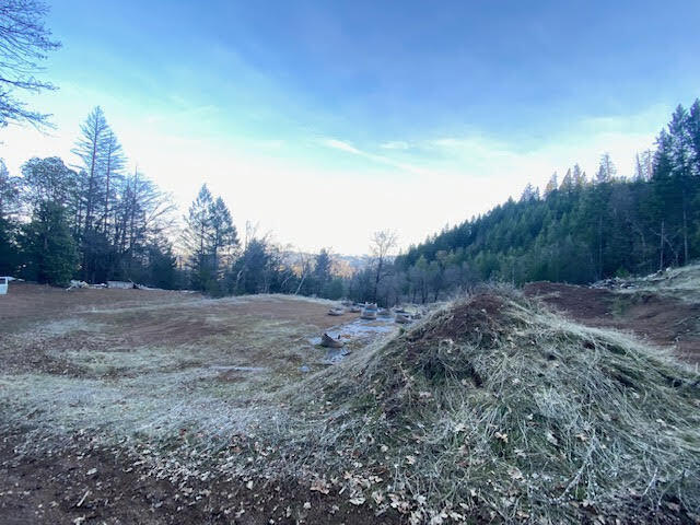 960 Democrat Gulch Road Weaverville, CA 96093 - Photo 5 of 8 Democrat (5)