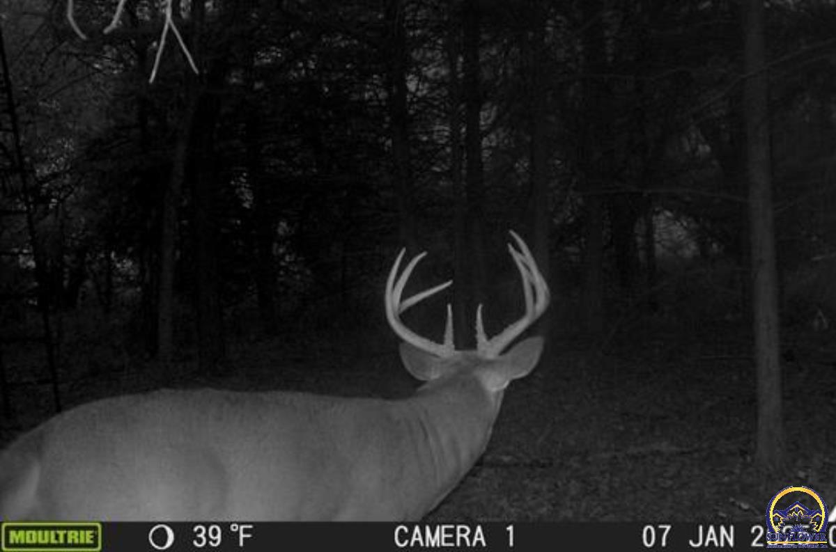 0 South Berryton Road Lyndon, KS 66451 - Photo 11 of 49 Trail Cam