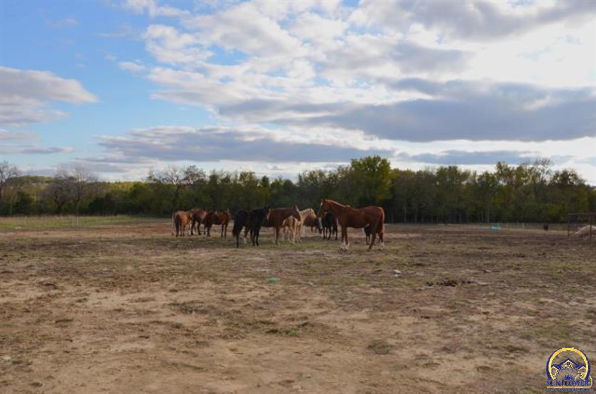0 South Berryton Road Lyndon, KS 66451 - Photo 31 of 49