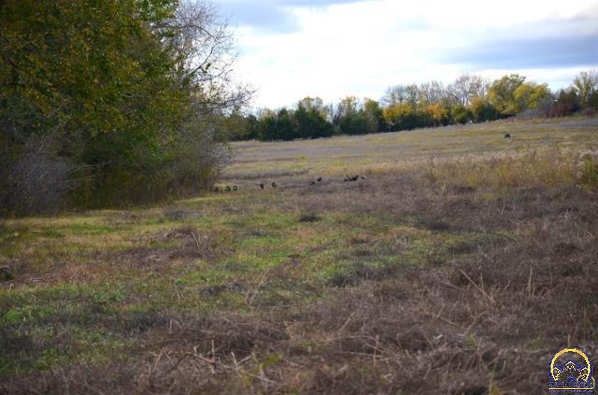 0 South Berryton Road Lyndon, KS 66451 - Photo 4 of 49