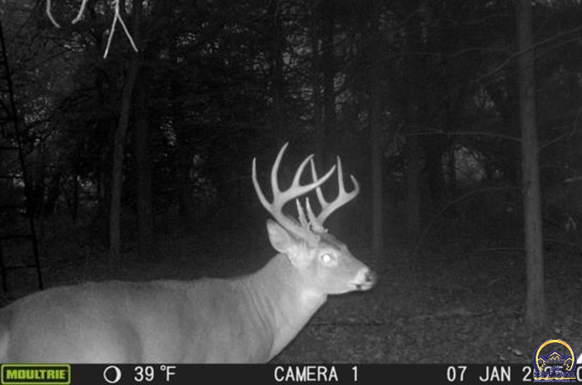 0 South Berryton Road Lyndon, KS 66451 - Photo 5 of 49 Trail Cam
