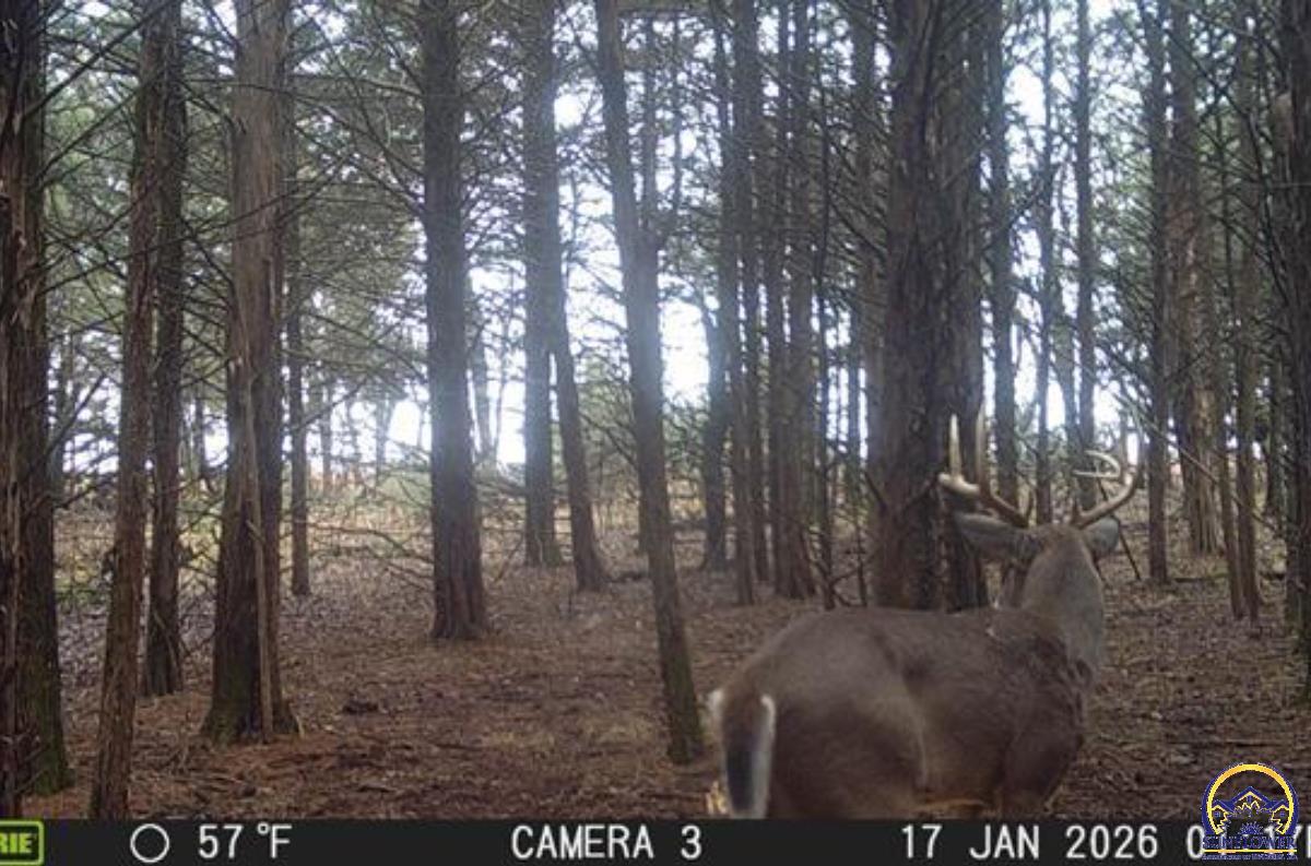 0 South Berryton Road Lyndon, KS 66451 - Photo 8 of 49 Trail Cam