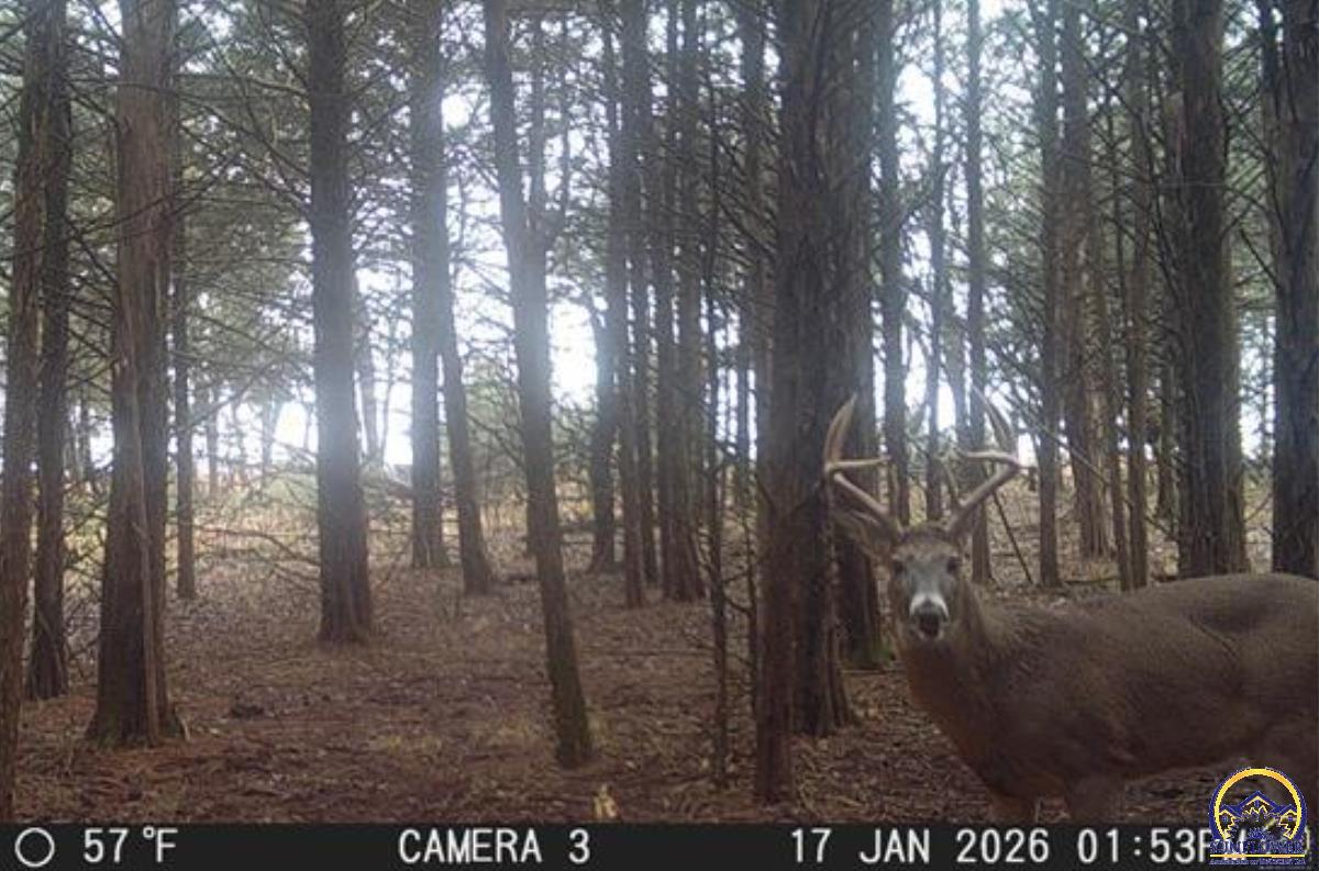 0 South Berryton Road Lyndon, KS 66451 - Photo 10 of 49 Trail Cam