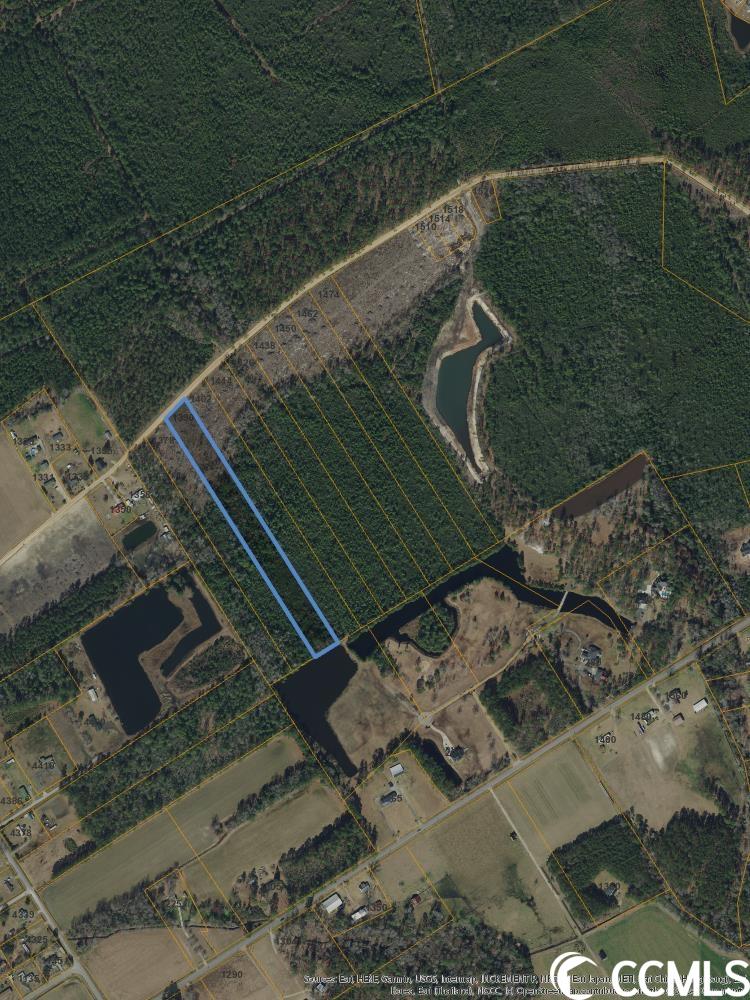 1390 Hardwick Road Conway, SC 29526 - Photo 1 of 1 Gallery Image 1