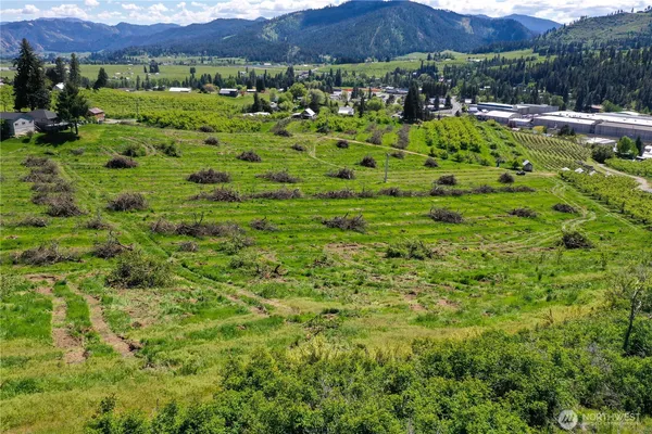 a view of a back yard with green space