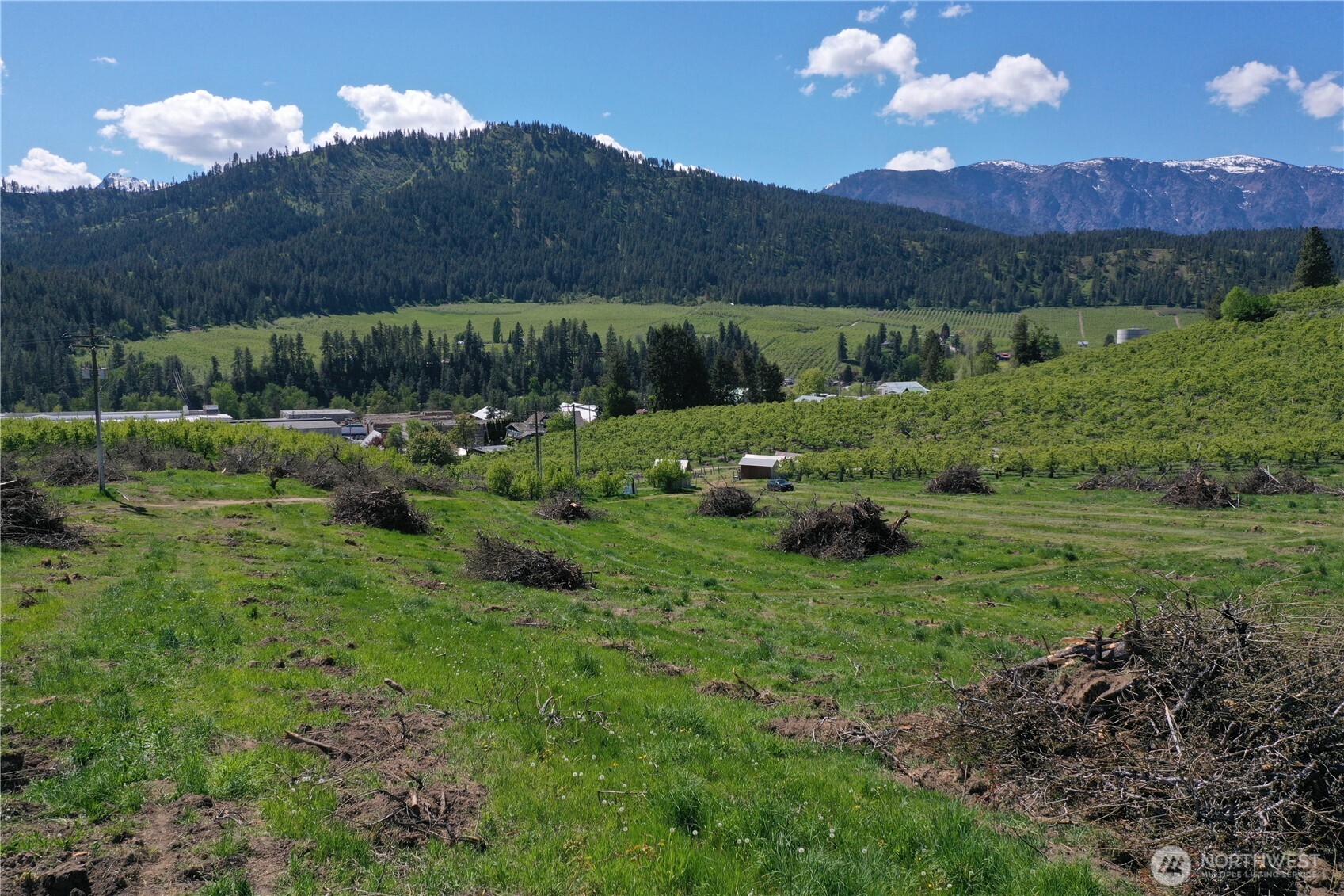 3 Ludwig Hill Road Peshastin, WA 98847 - Photo 11 of 17 a view of a lush green hillside and houses