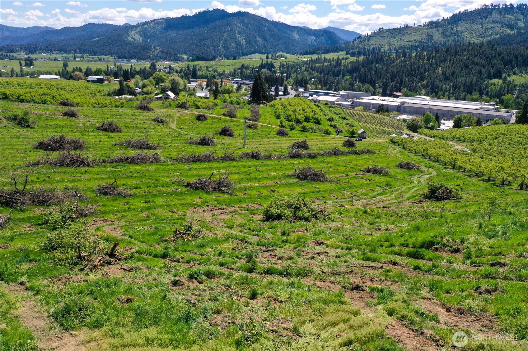 3 Ludwig Hill Road Peshastin, WA 98847 - Photo 2 of 17 a view of a lush green field with mountains in the background