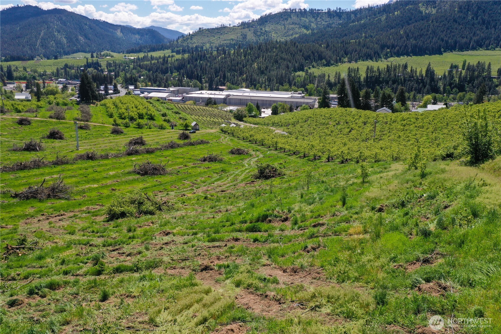 3 Ludwig Hill Road Peshastin, WA 98847 - Photo 3 of 17 a view of an outdoor space and a yard