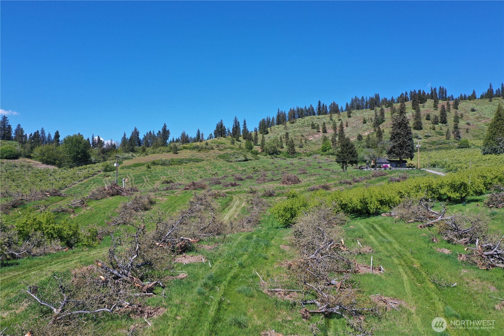 3 Ludwig Hill Road Peshastin, WA 98847 - Photo 4 of 17 a view of a field with trees in the background
