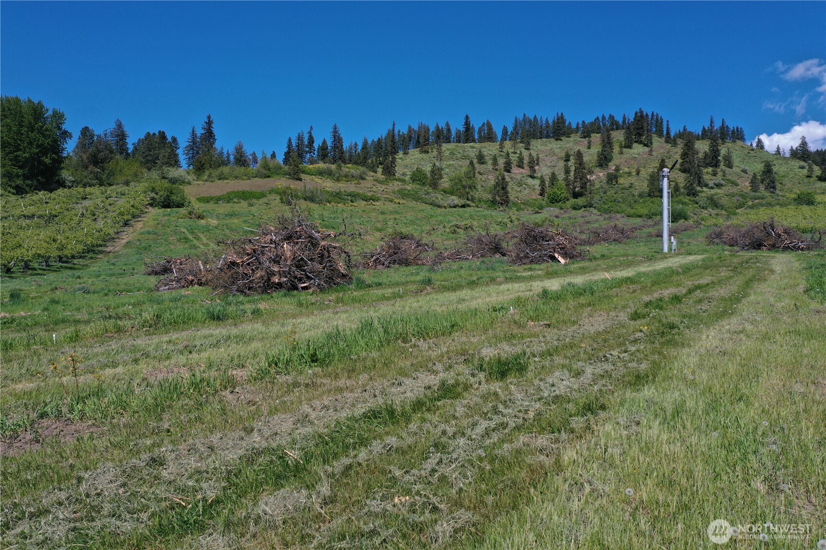 3 Ludwig Hill Road Peshastin, WA 98847 - Photo 5 of 17 a view of a grassy field with trees in the background
