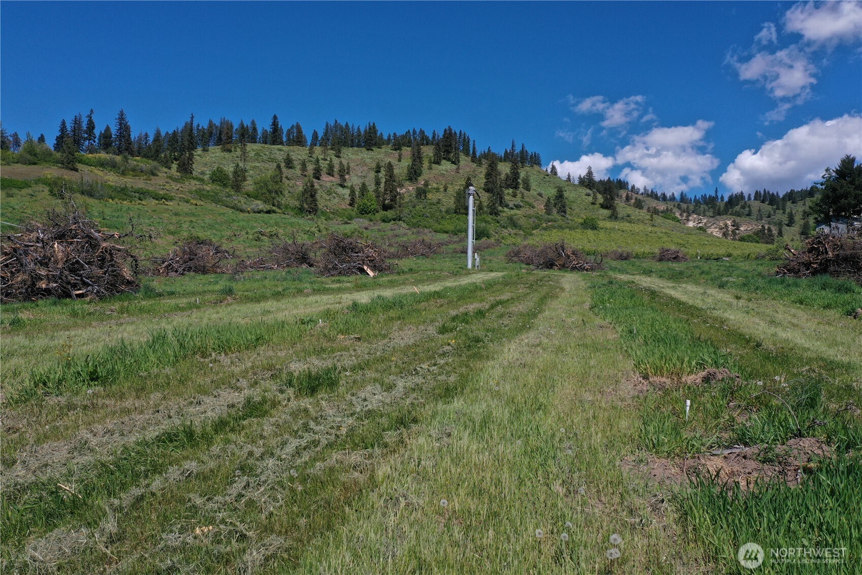 3 Ludwig Hill Road Peshastin, WA 98847 - Photo 6 of 17 a view of a grassy field with trees
