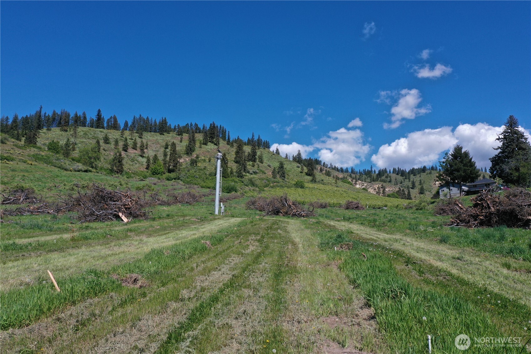 3 Ludwig Hill Road Peshastin, WA 98847 - Photo 7 of 17 a view of a grassy field with trees