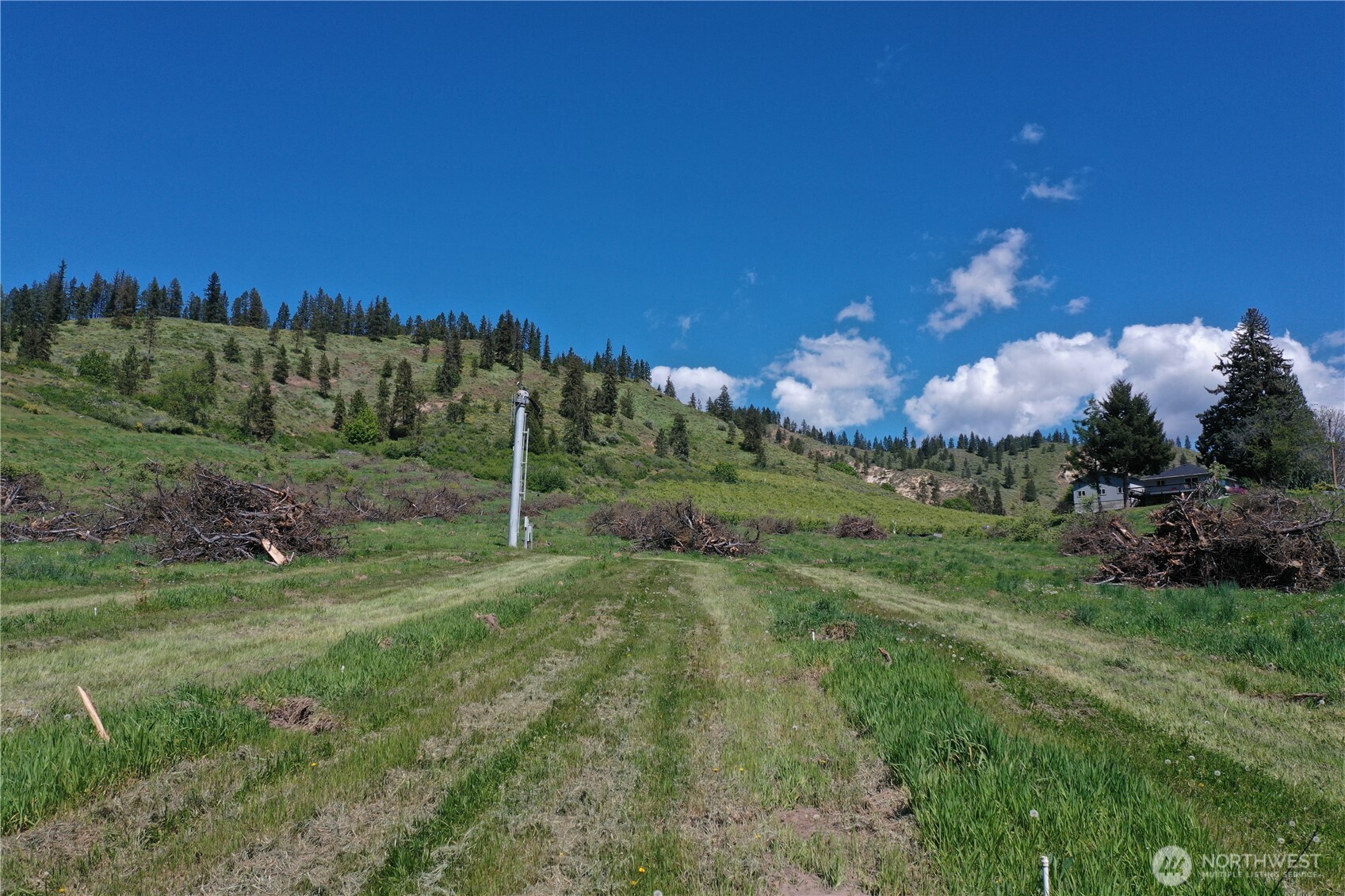 3 Ludwig Hill Road Peshastin, WA 98847 - Photo 8 of 17 a view of a grassy field with trees in the background