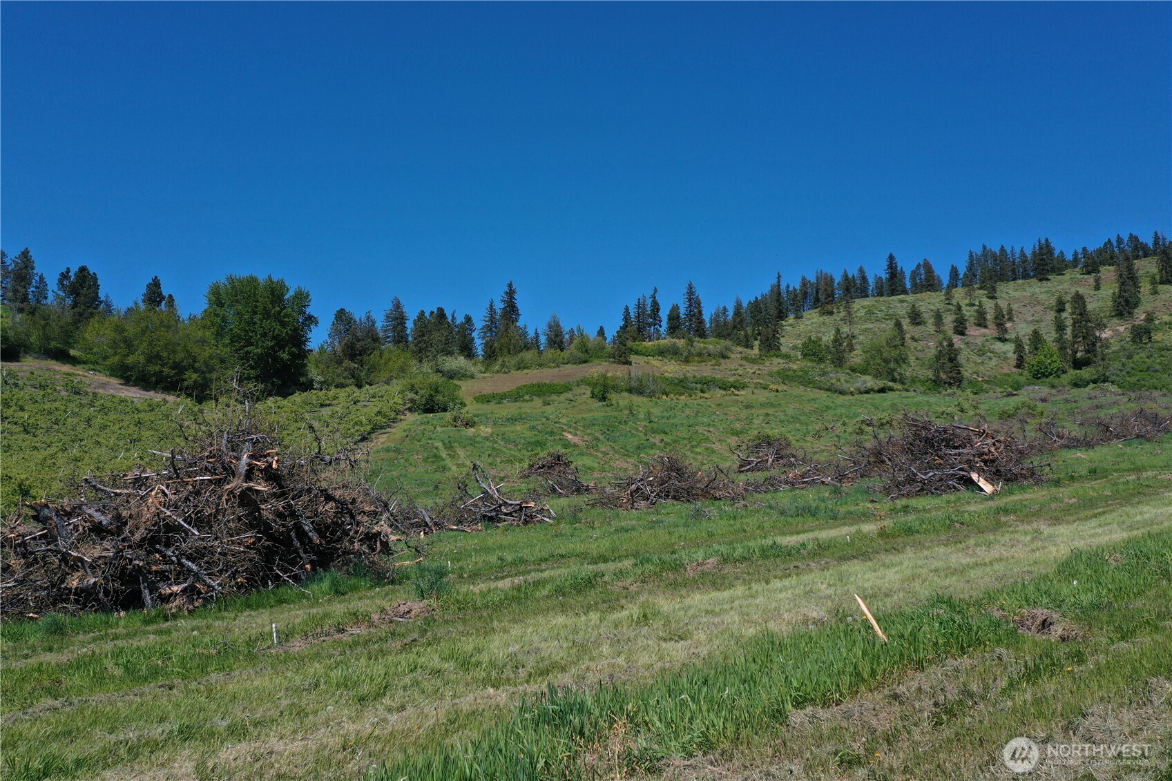 3 Ludwig Hill Road Peshastin, WA 98847 - Photo 9 of 17 a view of a field of grass and trees