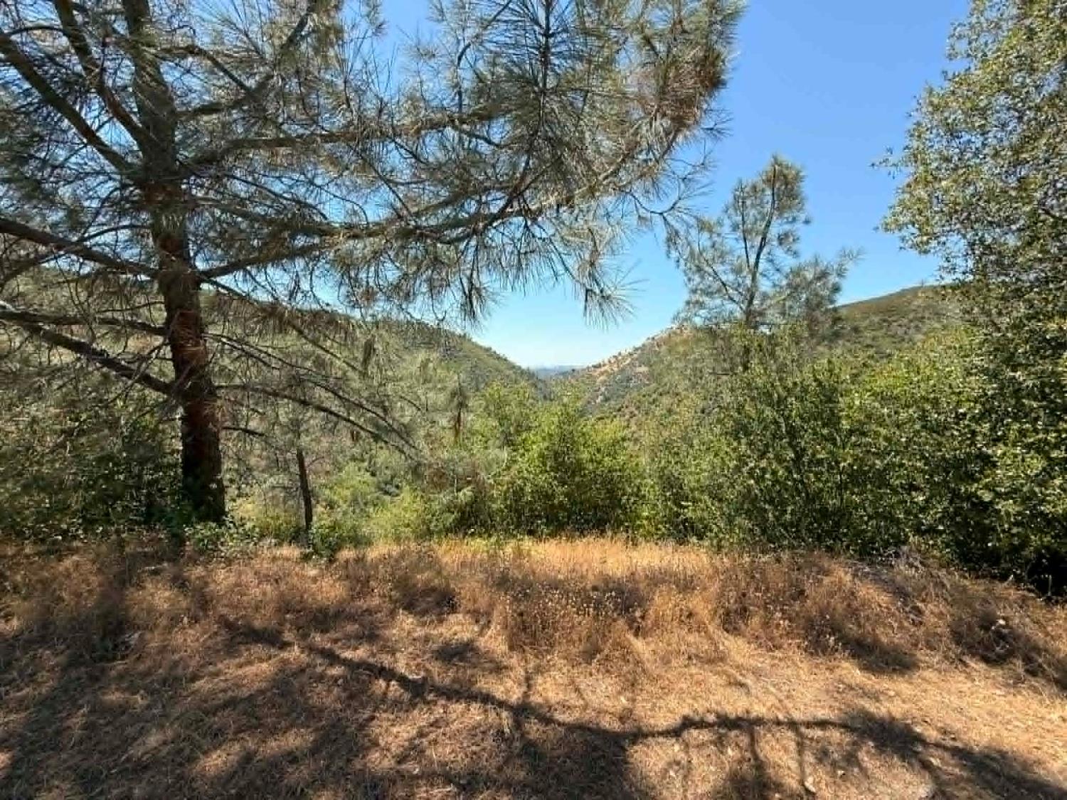 4441 Mountain Ranch Road San Andreas, CA 95249 - Photo 28 of 30
