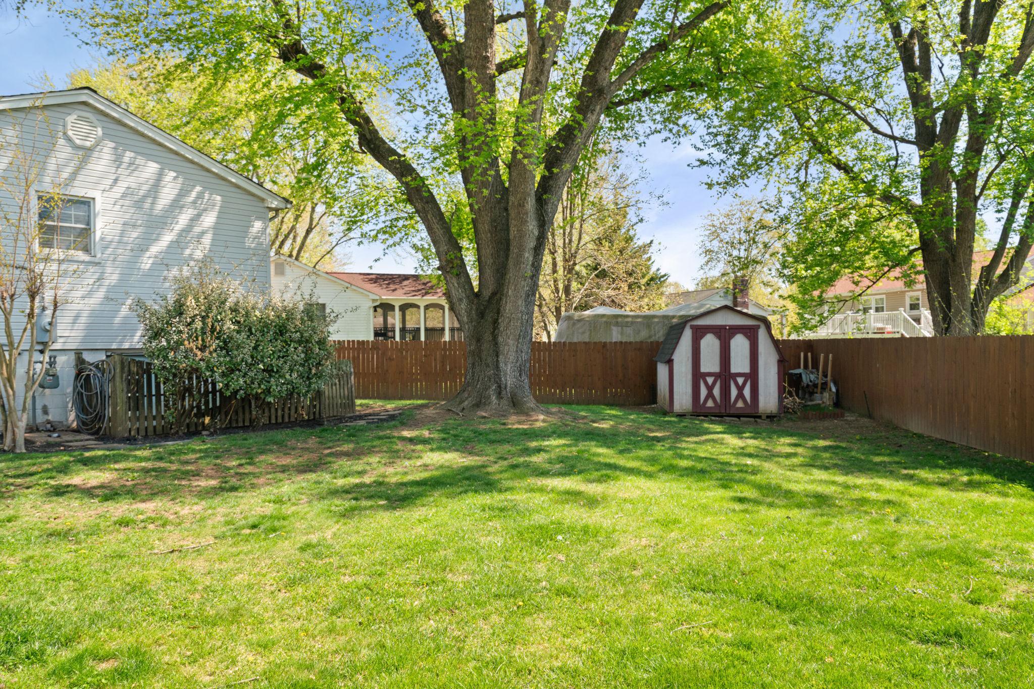 7600 Kingsbury Road Alexandria, VA 22315 - Photo 23 of 31 a backyard of a house with table and chairs and a large tree