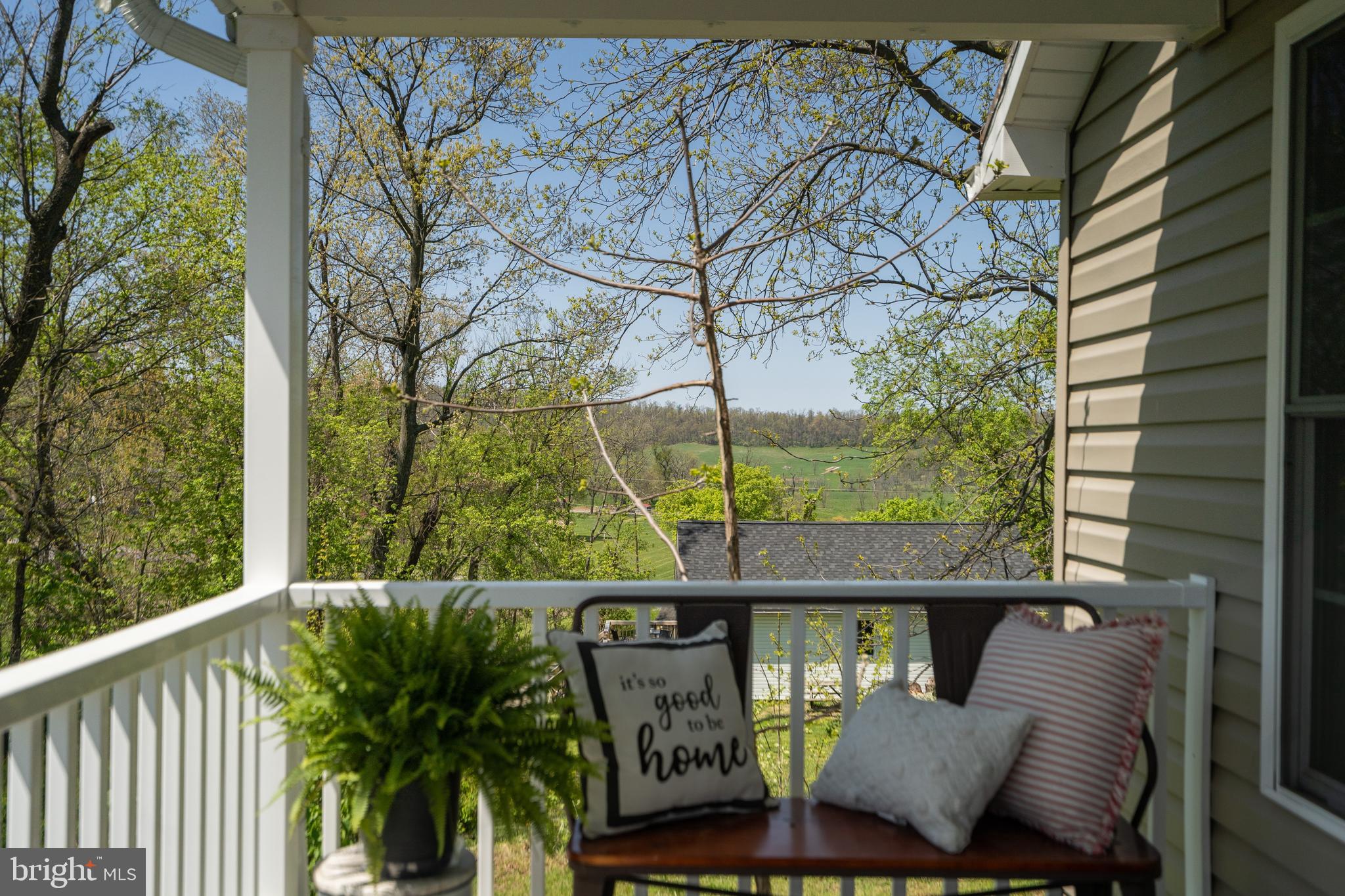 1672 Apple Pie Ridge Road Winchester, VA 22603 - Photo 2 of 50 Gallery Image 2