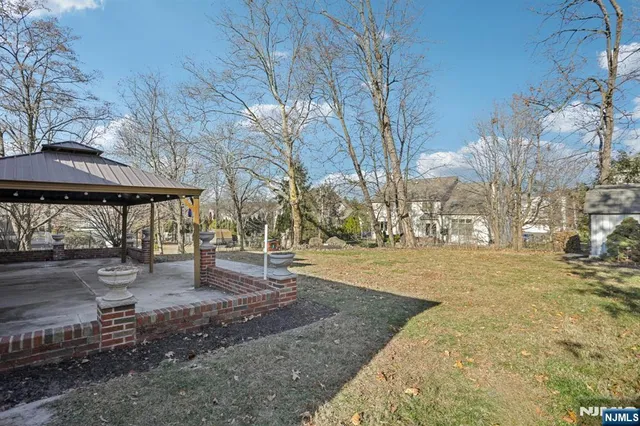 a view of a yard with a large tree