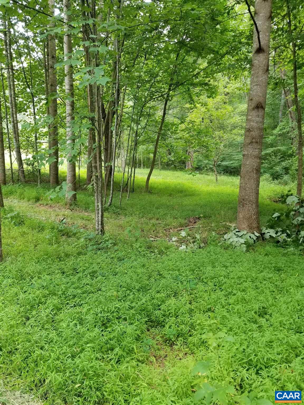 Blue Ridge Turnpike South Rochelle, VA 22738 - Photo 3 of 7 a view of a green field with lots of trees