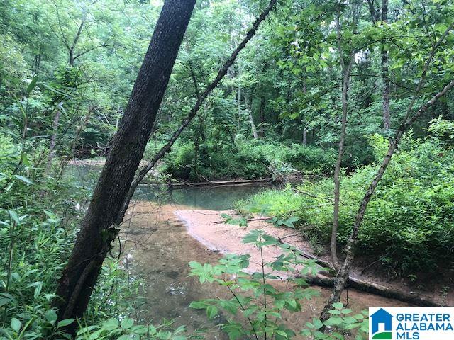 Country Road, Unit 782 783 785 Warrior, AL 35180 - Photo 2 of 7