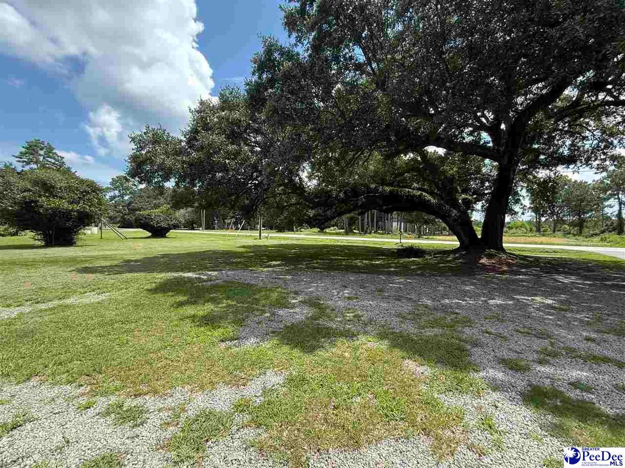 195 South Lane Road Lane, SC 29564 - Photo 9 of 25 Gallery Image 9