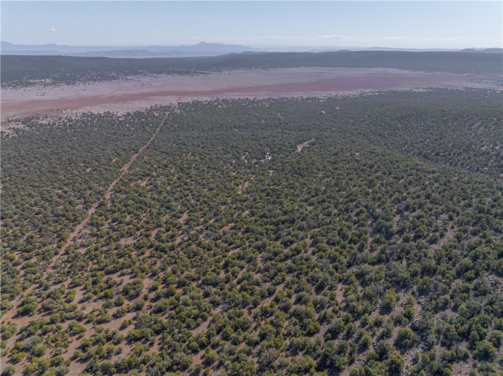 34745 West Running Shadow Road Seligman, AZ 86337 - Photo 17 of 52