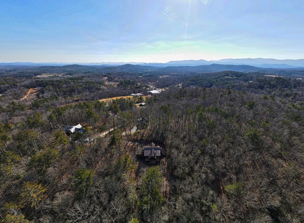 111 Price Circle Blue Ridge, GA 30513 - Photo 59 of 66 an aerial view of residential house with yard and mountain view in back
