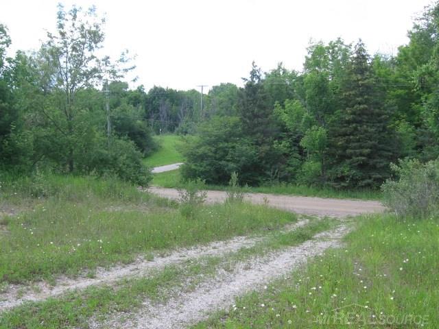 Tbd Burns Line Croswell, MI 48422 - Photo 16 of 19